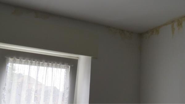 Aktuelles_3.Wasserschaden_Bild2